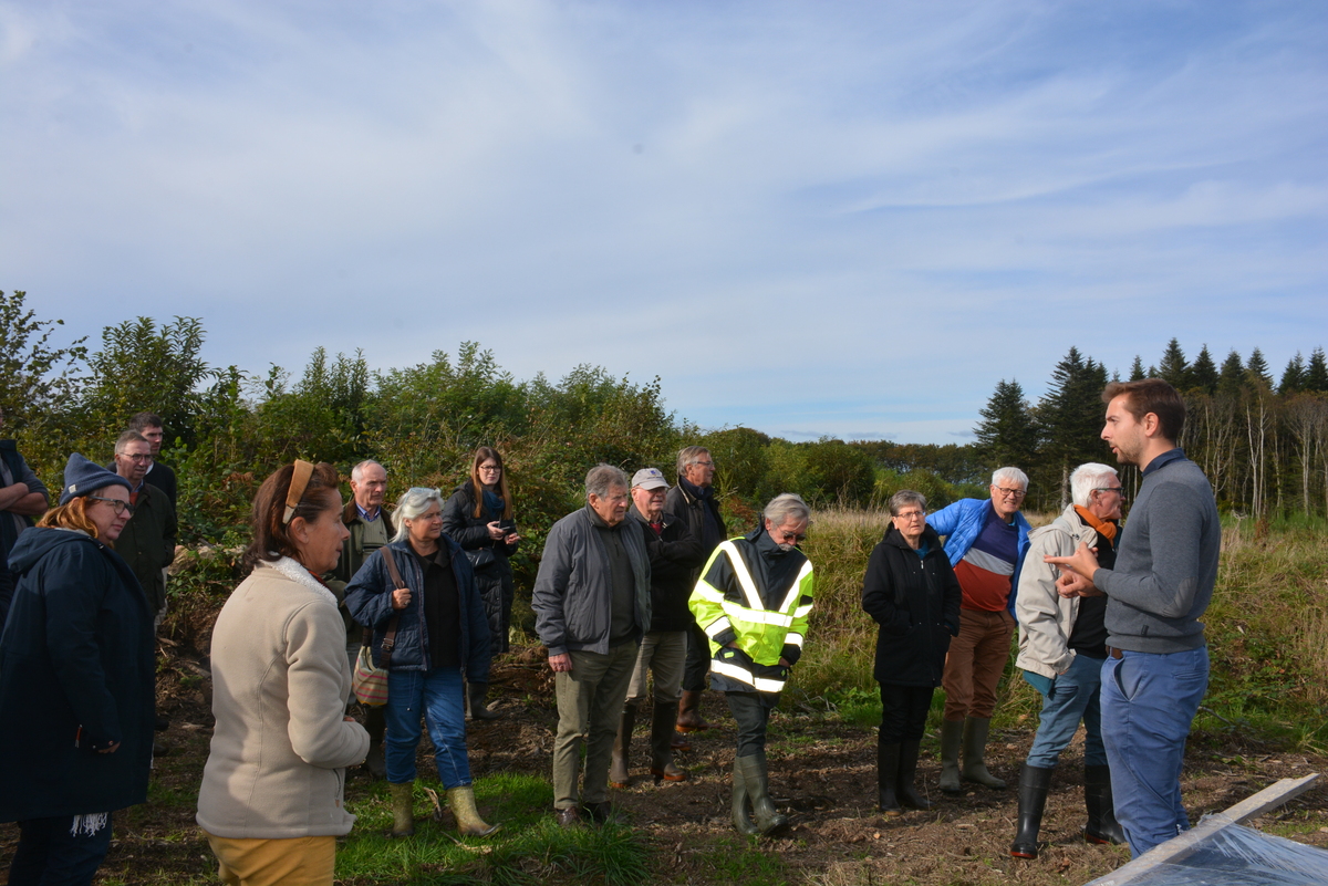 visite de groupe d'une exploitation forestière à Bannalec dans le Finistère - Illustration « La forêt est une ressource d’avenir »