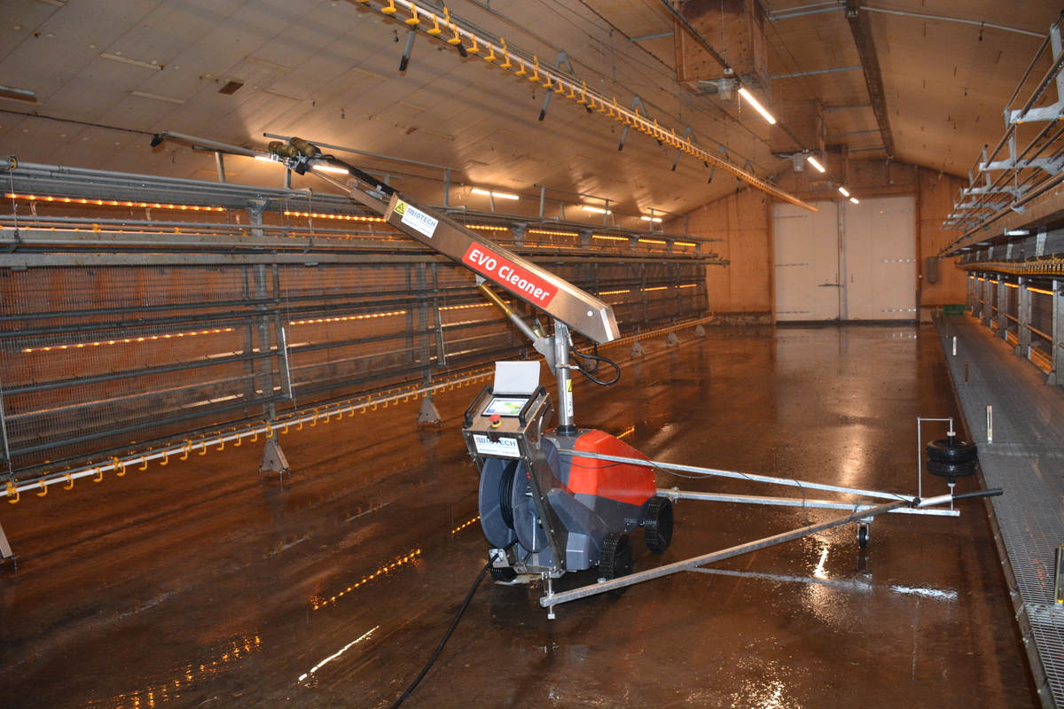 Un robot de lavage dans une volière sur un élevage de poulettes - Illustration Un robot pour laver les volières