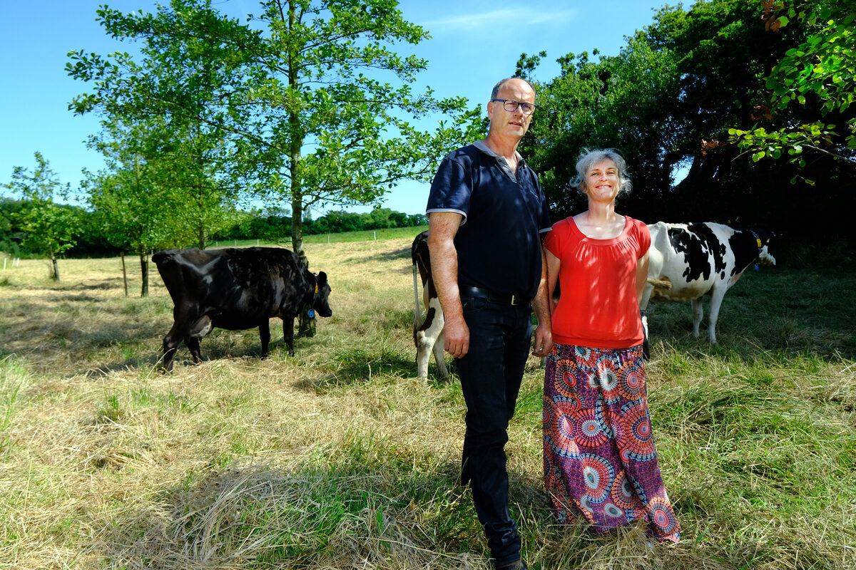 Un couple avec des vaches dans une prairie plantée d’aulnes glutineux - Illustration Il s’adapte au changement climatique en plantant des arbres dans ses champs