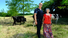 Un couple avec des vaches dans une prairie plantée d’aulnes glutineux