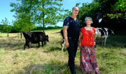 Un couple avec des vaches dans une prairie plantée d’aulnes glutineux