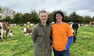 Agriculteur et salariée de l'idèle dans une prairie avec des vaches Normandes