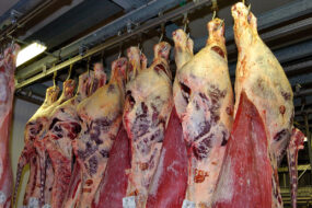 Des carcasses de viande bovine suspendues