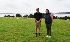 Michel Le Derf et Morgane Talidec avec les moutons et la mer dans le fond