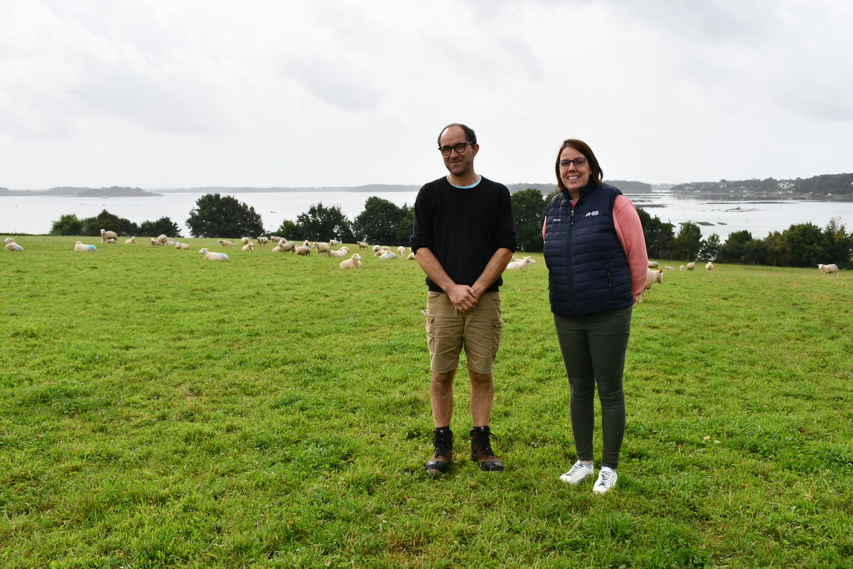 Michel Le Derf et Morgane Talidec avec les moutons et la mer dans le fond - Illustration « Cerner les besoins de transformation en viande »