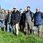 Les producteurs sur une parcelle de choux-fleurs de St-Jouan-des-Guérets