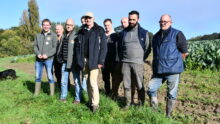 Les producteurs sur une parcelle de choux-fleurs de St-Jouan-des-Guérets