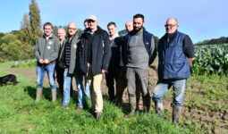 Les producteurs sur une parcelle de choux-fleurs de St-Jouan-des-Guérets