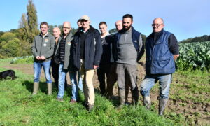 Les producteurs sur une parcelle de choux-fleurs de St-Jouan-des-Guérets