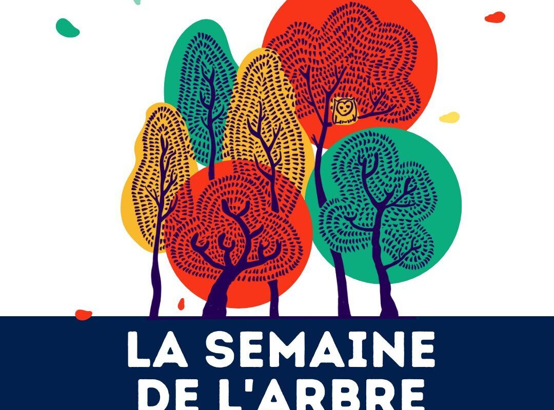 Affiche de la semaine de l'arbre 2024 - Illustration Semaine de l’Arbre à Rennes : du 23 novembre au 1er décembre