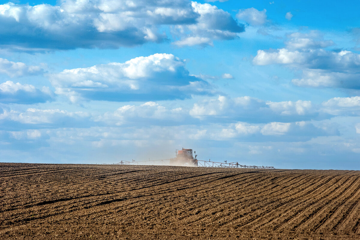 Semis de céréales dans un champ - Illustration Des conditions favorables à la prélevée