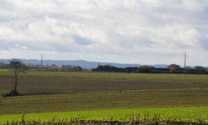 paysage breton avec champ de céréales qui lèvent