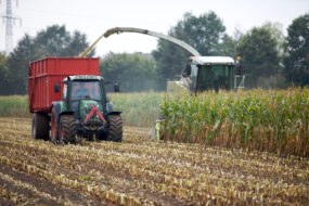 Ensilage d'un champ de maïs