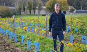 Aurélien Berthou,dans un champ de vigne