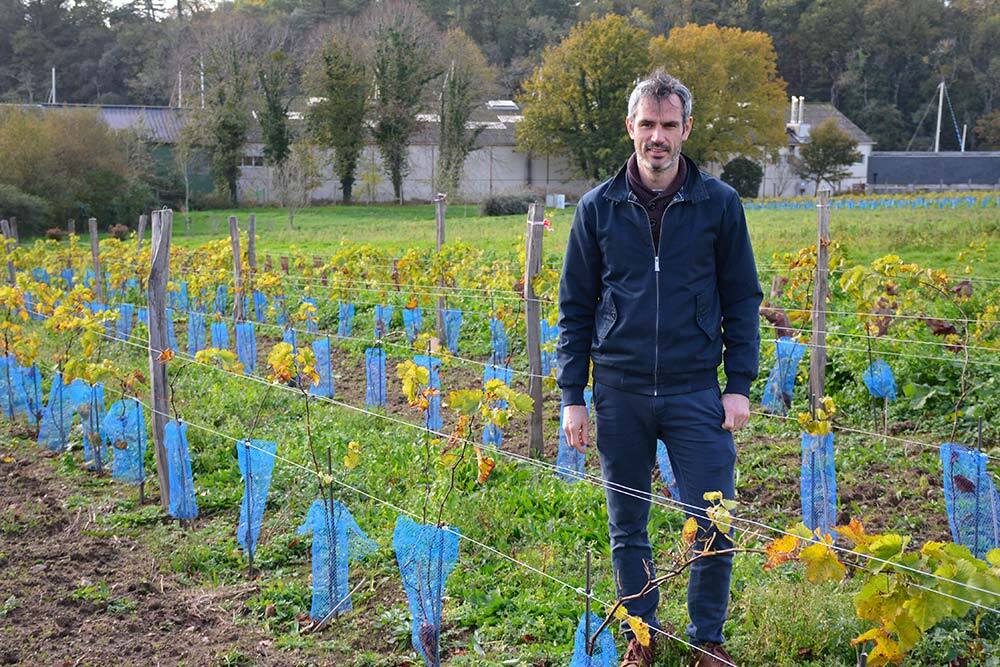 Aurélien Berthou,dans un champ de vigne - Illustration Où en est la vigne en Bretagne ?