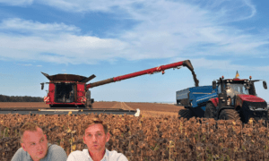 Montage de 2 hommes sur un fond d'activité d'ensilage dans un champ