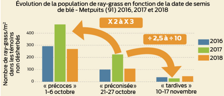 Graphique de l'évolution de la population de ray-grass en fonction de la date de semis de blé - Illustration Infestations de ray-grass: pas de semis avant le 10 novembre 