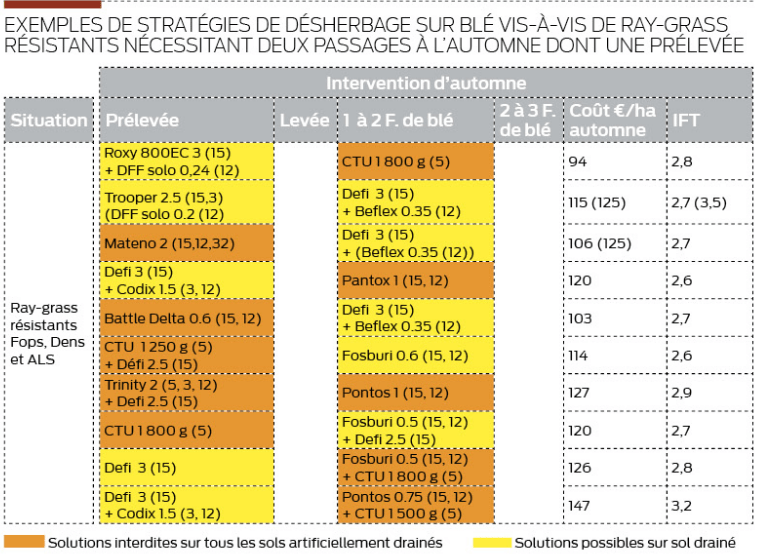 Tableau d'exemples de stratégies de désherbage sur blé