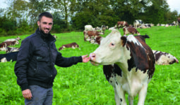 Un éleveur avec une vache