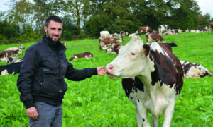 Un éleveur avec une vache