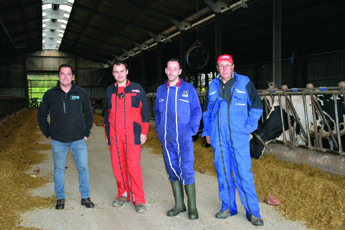 Quatre éleveurs dans un hangar - Illustration Des betteraves dans la ration, pendant six mois