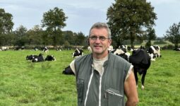 agriculteur avec ses vaches dans prairie