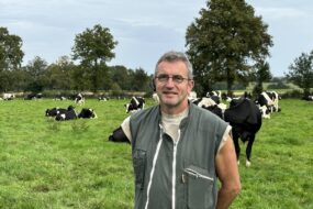 agriculteur avec ses vaches dans prairie