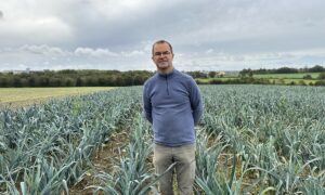 maraicher dans champ de poireaux