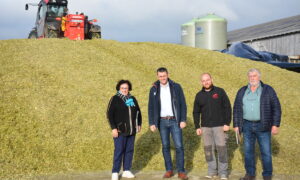 Quatre personnes devant un tas de maïs