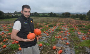 Nicolas Jan avec des potimarrons dans les mains.