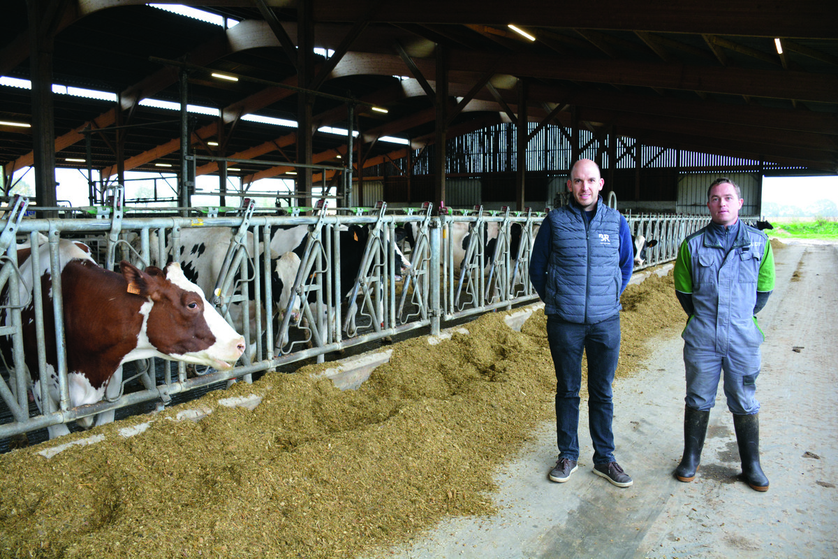 deux hommes dans une stabulation avec des vaches - Illustration « Nous sommes passés de 29 à 40 kg de lait en 5 ans »