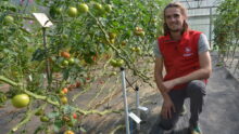 Malo Jestin-Fagon devant des plants de tomate