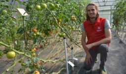 Malo Jestin-Fagon devant des plants de tomate