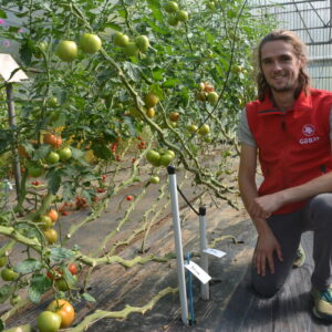 Malo Jestin-Fagon devant des plants de tomate