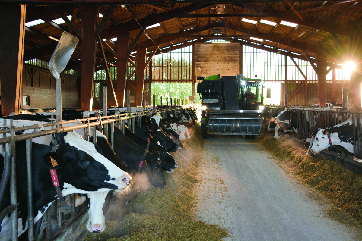 distribution de la ration a l'automotrice