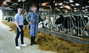 Fabrice Jolys et Antoine Yven dans la stabulation des vaches