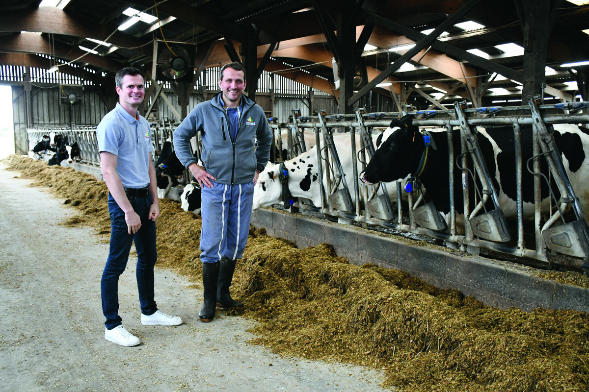 Fabrice Jolys et Antoine Yven dans la stabulation des vaches - Illustration 43 kg par jour grâce à des rations soignées