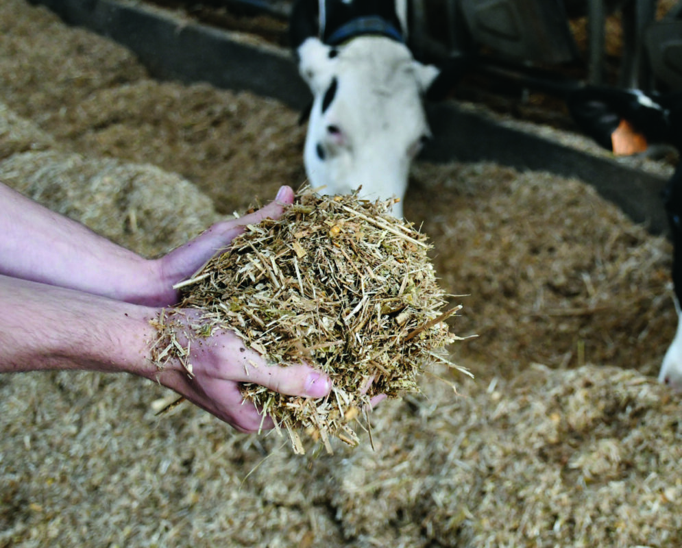 ration taries en gros plan