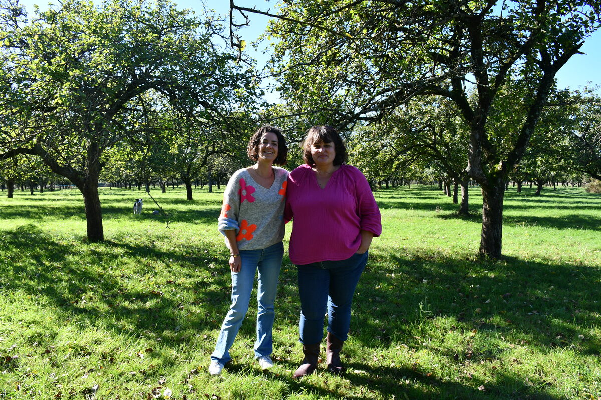 Isabelle Mazery Brugalle et Virginie Thomas sous les pommiers et le soleil - Illustration Une route des cidres  en Haute-Bretagne