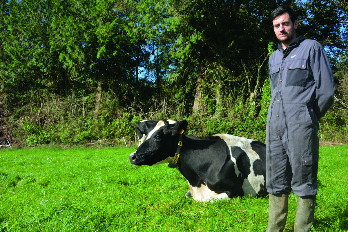 Damien Hellegouarch - Illustration De grands volumes de lait grâce à l’herbe