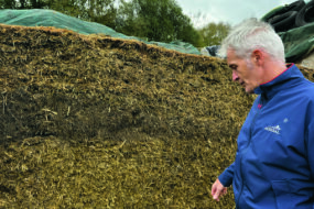 Un éleveur devant un silo d'ensilage de méteil