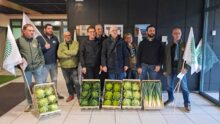 Les manifestants lors de l'action au comité Safer