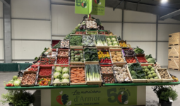 Une pyramide de légumes