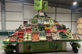 Une pyramide de légumes