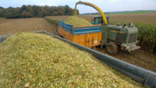 Chantier d'ensilage de maïs