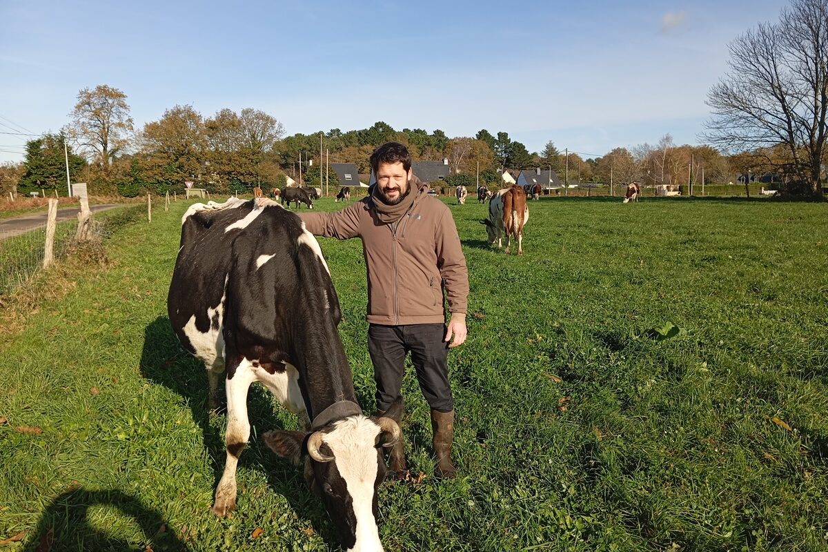 Eleveur et vache au pâturage, en novembre 2024. - Illustration Un système herbager  qui valorise son bocage