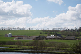 Un paysage agricole breton avesc des bâtiments d'élevage sous un ciel bleu