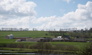 Un paysage agricole breton avesc des bâtiments d'élevage sous un ciel bleu