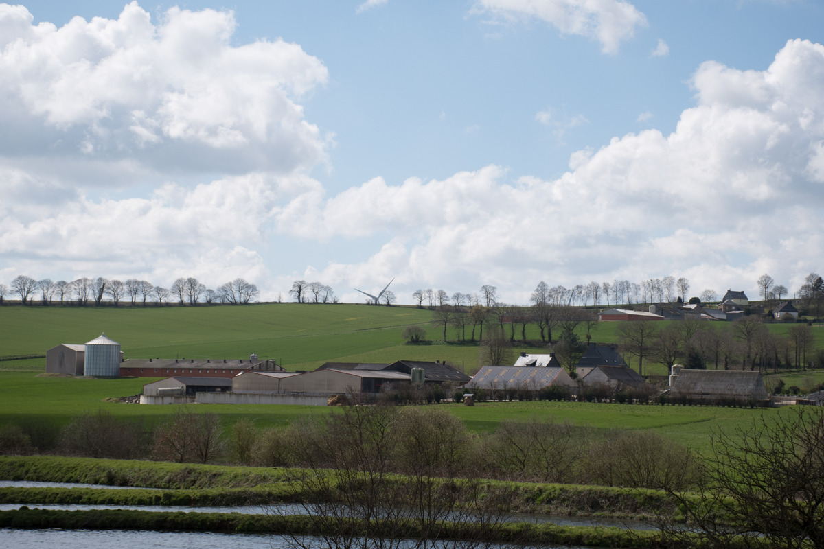 Un paysage agricole breton avesc des bâtiments d'élevage sous un ciel bleu - Illustration Point de vue : Tant d’atouts pour envisager l’élevage