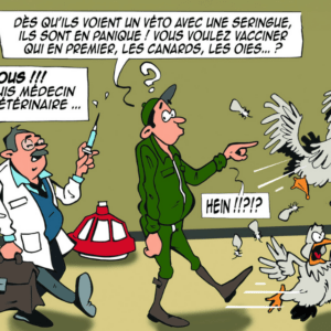 Dessin humoristique sur les vaccins antigrippaux pour les humains en contact avec les porcs et les volailles